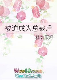 被迫成为大佬的 小说
